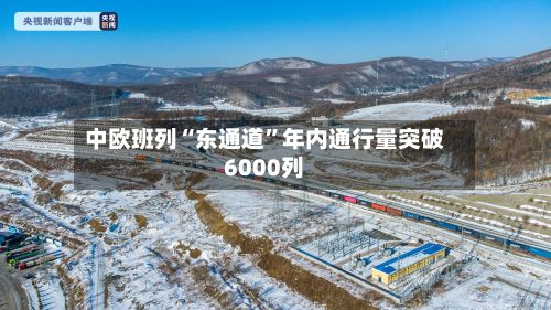 中欧班列“东通道”年内通行量突破6000列