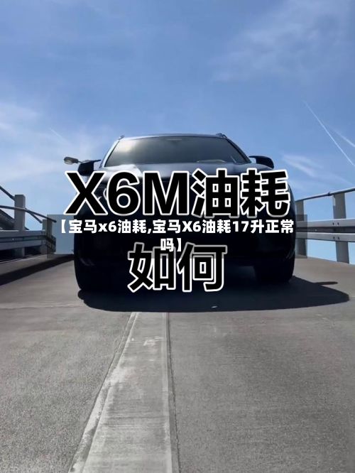 【宝马x6油耗,宝马X6油耗17升正常吗】-第2张图片