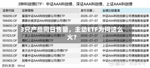 3只产品同日售罄，主动ETF为何这么火？-第2张图片